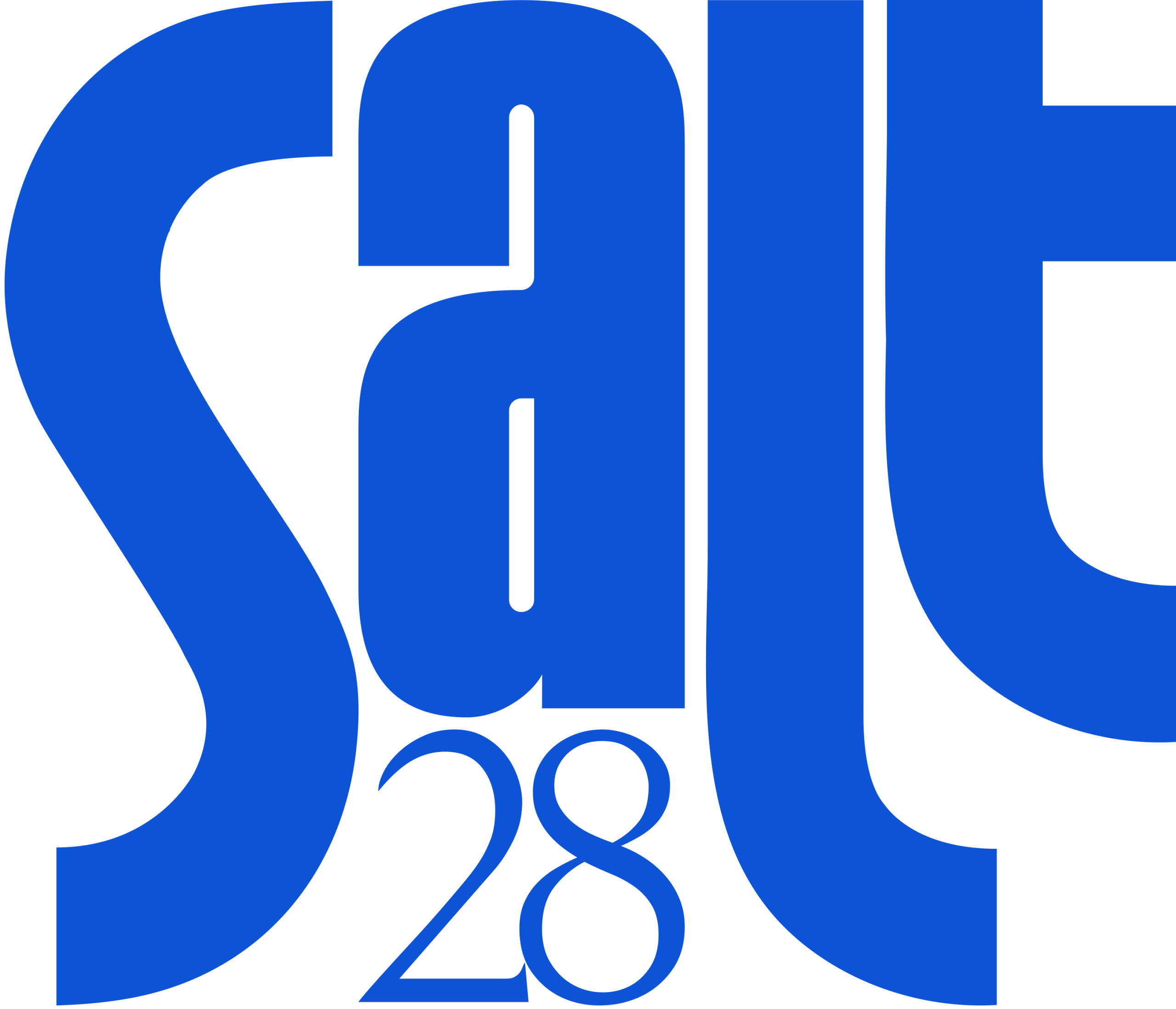 Salt 28